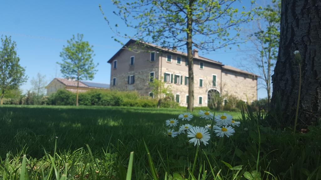 Agriturismo Il Brugnolo Scandiano Ngoại thất bức ảnh