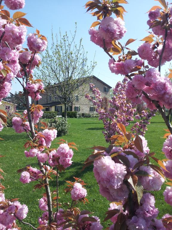 Agriturismo Il Brugnolo Scandiano Ngoại thất bức ảnh