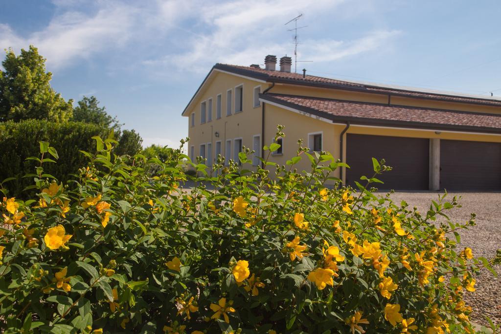 Agriturismo Il Brugnolo Scandiano Ngoại thất bức ảnh