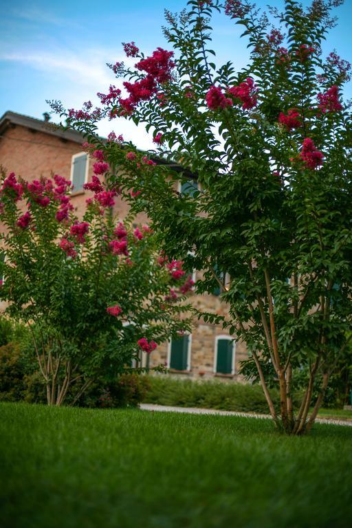 Agriturismo Il Brugnolo Scandiano Ngoại thất bức ảnh
