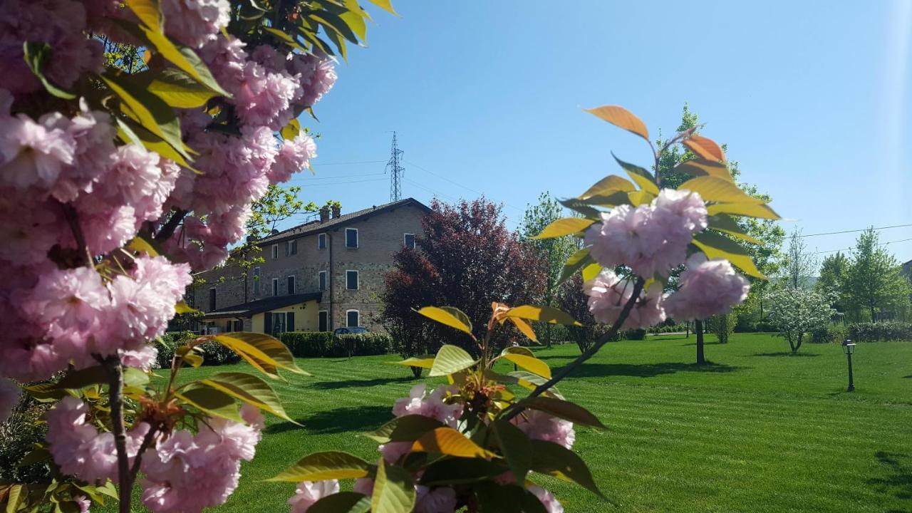 Agriturismo Il Brugnolo Scandiano Ngoại thất bức ảnh